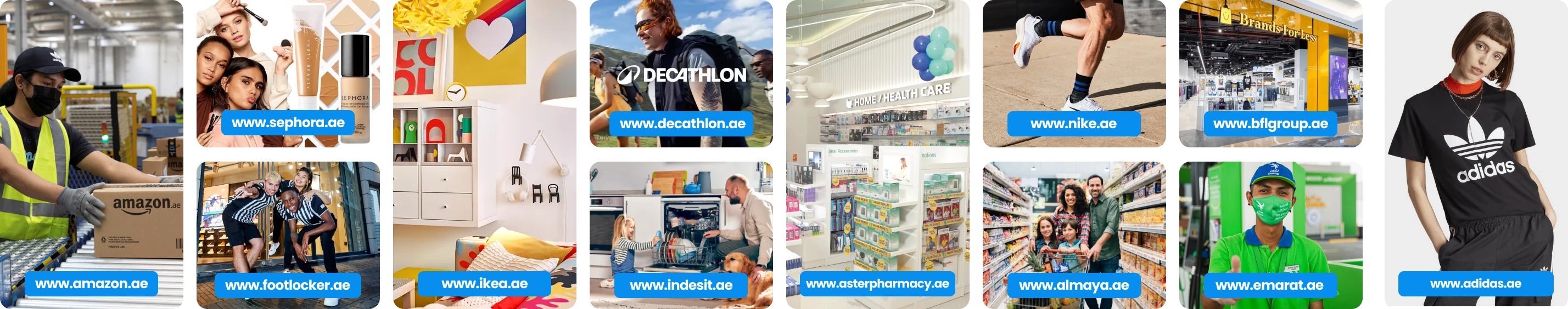Showcase of successful businesses like Amazon, Sephora, and Adidas using the .ae domain to thrive in the UAE market, highlighting the value of a local domain.