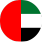 Selected currency flag