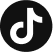 Toktik Icon